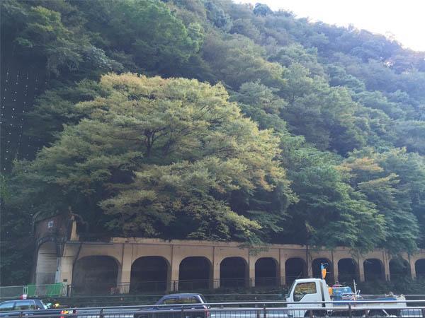 Masutomi Ryokan Hakone Exterior foto